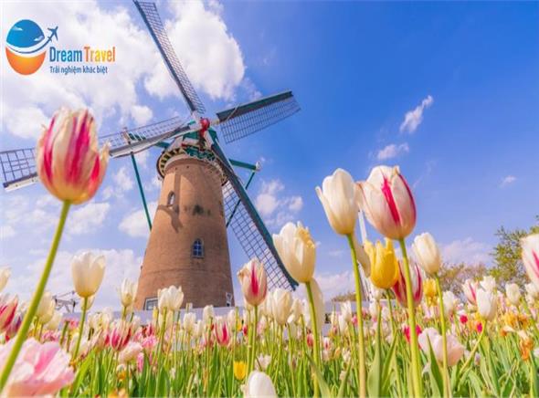 Tour Nhật Bản Đặc Biệt Lễ Hội Hoa Anh Đào - Tulip 2025