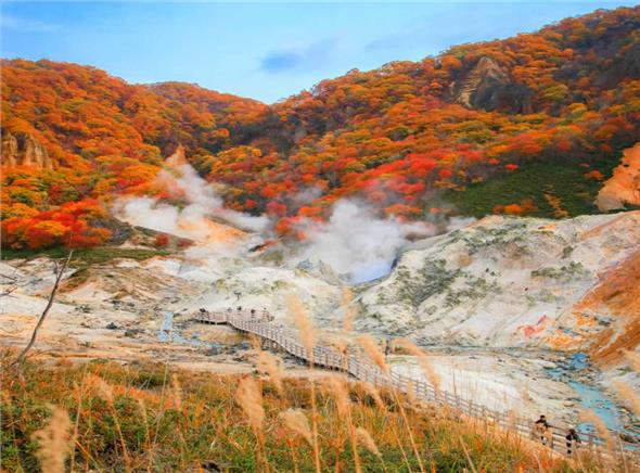 Tour Du Lịch Nhật Bản Khám Phá Hokkaido Mùa Thu 2023